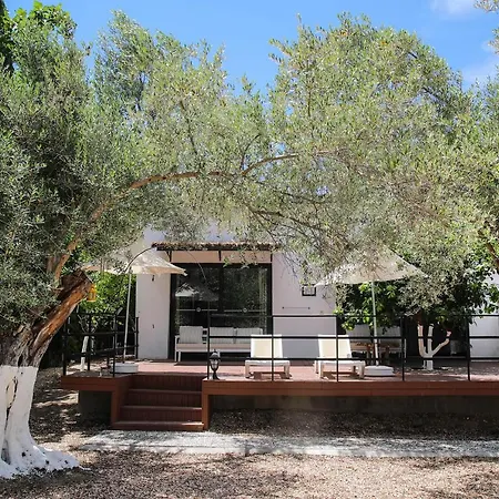 Enki Suess Alaçatı