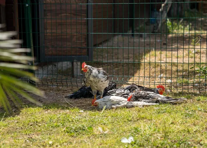 ホテル Enki Suess Alacati